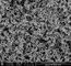 catalizzatore di titanio della zeolite del silicio TS-1 di 0.3um 0.5g/ml